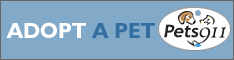 Adopt a pet--save a life at Pets911.com