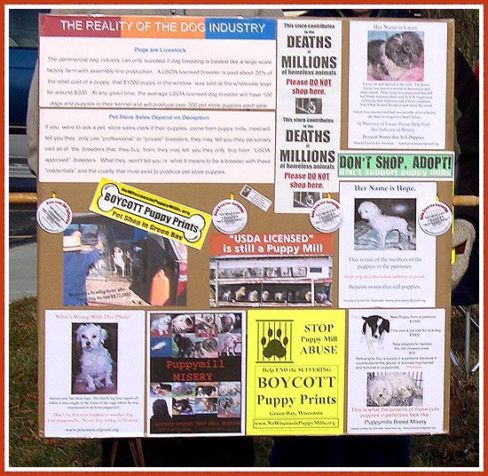 Informational sign from Puppy Prints pet store protest, 29 November 2008