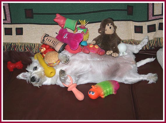 Scratch loved her toys, but the medication she was on to control her seizures left her too lethargic to play.