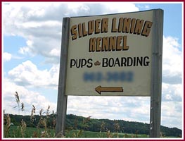 The sign for Silver Lining Kennels proclaims PUPS & Boarding.