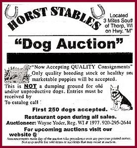 Ad for dog auction at Horst Stables in Thorp WI.