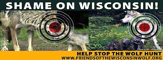 Billboard erected by the Friends of the Wisconsin Wolf in the Wisconsin Dells