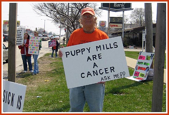 Protest, Pewaukee Petland, 23 August 2008