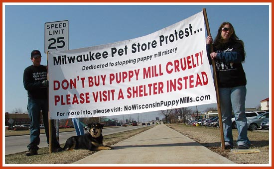 Protest, Pewaukee Petland, 23 August 2008