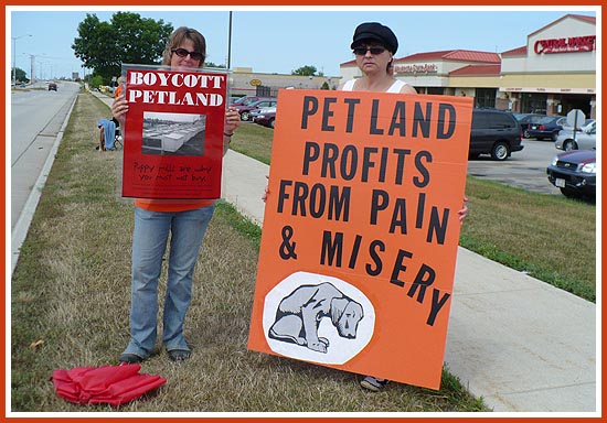 Protest, Pewaukee Petland, 23 August 2008