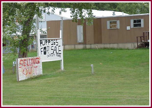 Puppies for sale sign in front of WI breeder