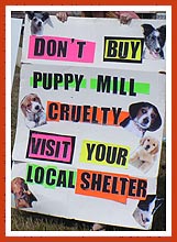 Sign from a pet store protest: Do not buy puppy mill cruelty -- visit your local shelter.