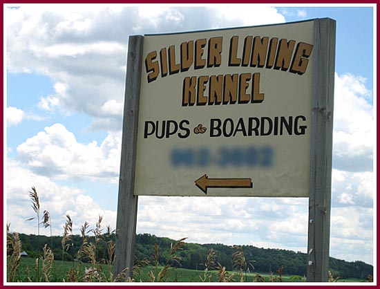 The sign for Silver Lining Kennels proclaims PUPS & Boarding.