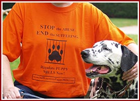 Order one of our distinctive "Regulate Puppy Mills" t-shirts from our partners at the Clark County Humane Society.