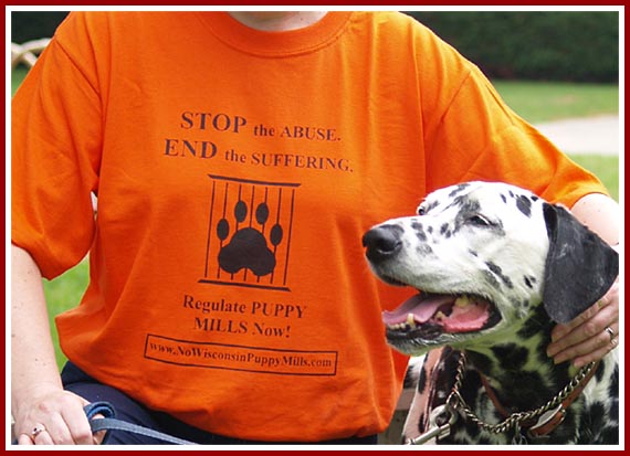 Stop the Suffering t-shirt available from Clark County Humane Society