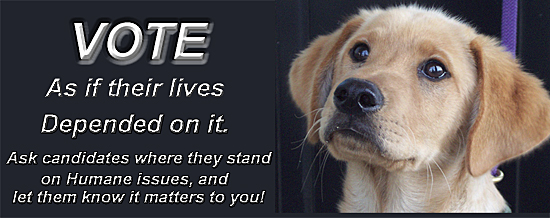 puppy urging people to Vote Humane